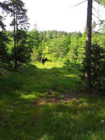 Фото номера Дом для отпуска Дома для отпуска Männiste Holiday Home г. Hiievälja 21