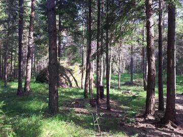 Фото номера Дом для отпуска Дома для отпуска Männiste Holiday Home г. Hiievälja 23
