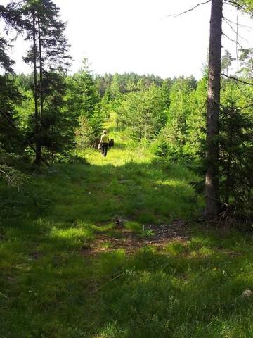 Фото номера Дом для отпуска Дома для отпуска Männiste Holiday Home г. Hiievälja 32